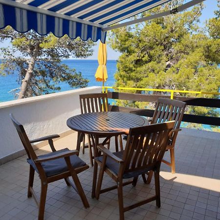 Tribalj Apartman David מראה חיצוני תמונה
